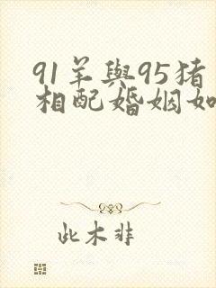 91羊与95猪相配婚姻如何