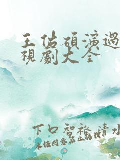 王佑硕演过的电视剧大全