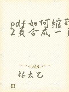 pdf如何缩印2页合成一页