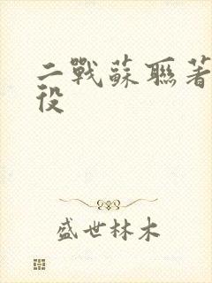 二战苏联著名战役