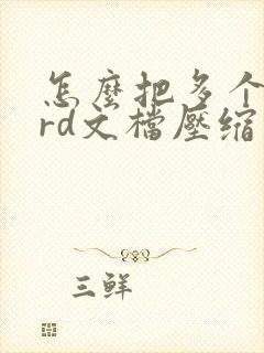 怎么把多个word文档压缩成一个文件