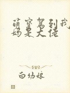 萌宝驾到我的妈妈是大佬