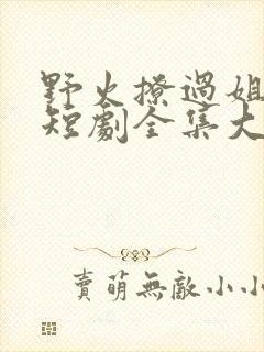 野火撩过姐姐心短剧全集大结局