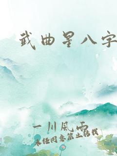 武曲星八字查法