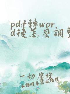 pdf转word后怎么调整排版