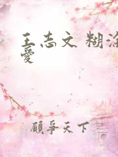 王志文 糊涂的爱