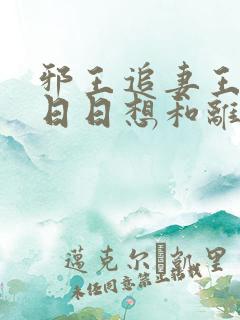 邪王追妻王妃她日日想和离免费阅读