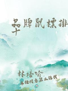 品牌鼠标排名前十