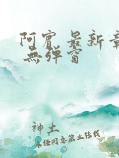 阿宾 最新章节 无弹窗