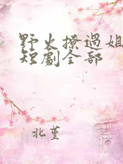 野火撩过姐姐心短剧全部