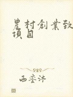 农村创业致富小项目