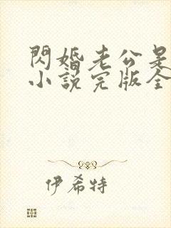 闪婚老公是豪门小说完版全章