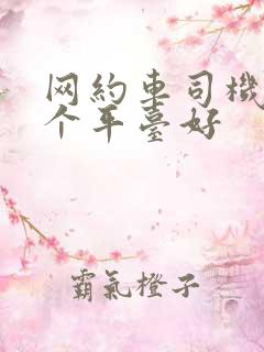 网约车司机用哪个平台好