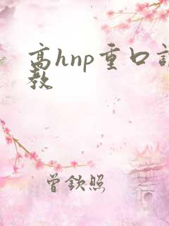 高hnp重口调教