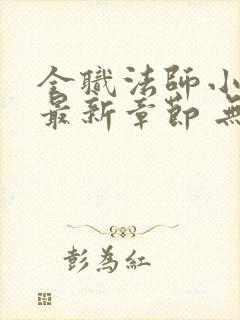 全职法师小说 最新章节 无弹窗