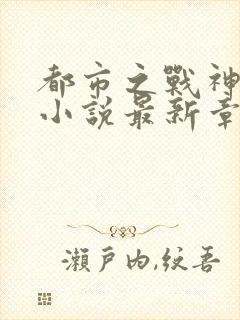都市之战神无双小说最新章节