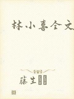 林小喜全文