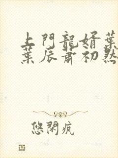 上门龙婿叶辰 叶辰萧初然最新