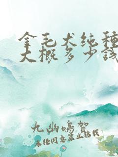 金毛犬纯种幼犬大概多少钱一只