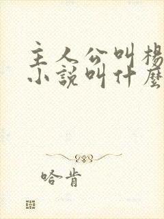 主人公叫杨洛的小说叫什么名字