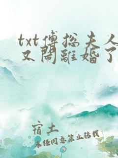 txt傅总夫人又闹离婚了