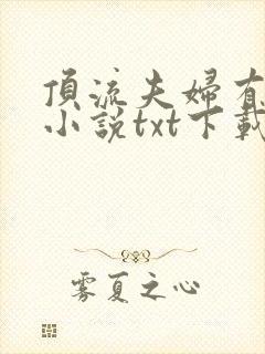 顶流夫妇有点甜小说txt下载