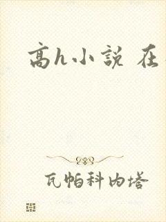 高h小说 在线