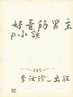 好看的男主无cp小说
