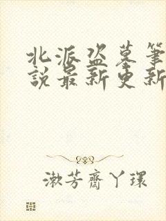 北派盗墓笔记小说最新更新