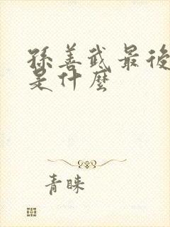 孙善武最后结局是什么