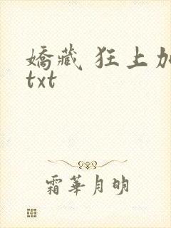 娇藏 狂上加狂txt