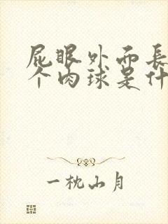 屁眼外面长出了个肉球是什么原因
