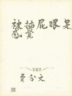 被插屁眼是什么感觉