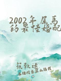 2002年属马的最佳婚配女