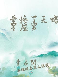 爱惨了天蝎女的星座男