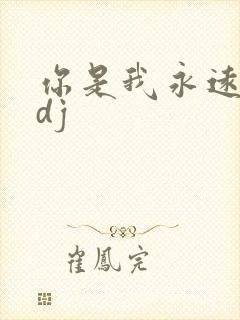 你是我永远的痛dj