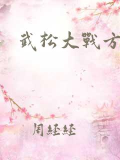 武松大战方腊