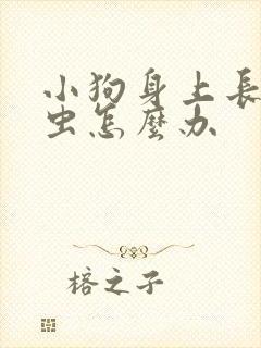 小狗身上长了蜱虫怎么办