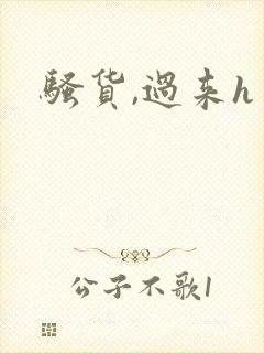 骚货,过来h