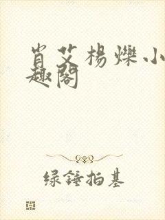 肖艾杨烁小说笔趣阁