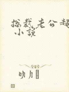 总裁老公超给力 小说