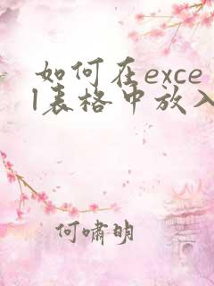如何在excel表格中放入pdf文件