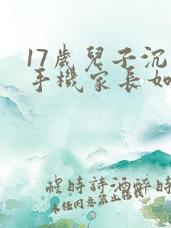 17岁儿子沉迷手机家长如何引导