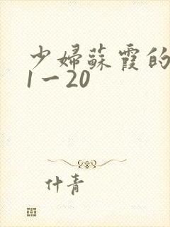 少妇苏霞的沉沦1一20