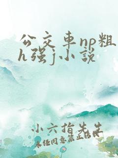 公交车np粗暴h强j小说