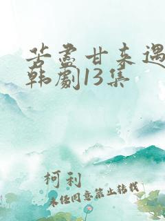 苦尽甘来遇见你韩剧13集