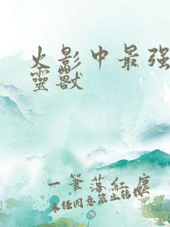 火影中最强的通灵兽