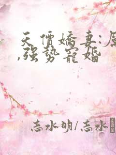 天价娇妻:厉少,强势宠婚