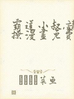 霸道小叔,请轻撩漫画免费