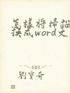 怎样将扫描件转换成word文档